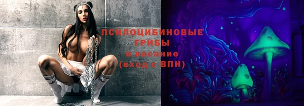 соль ск Абдулино